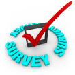 survey icon
